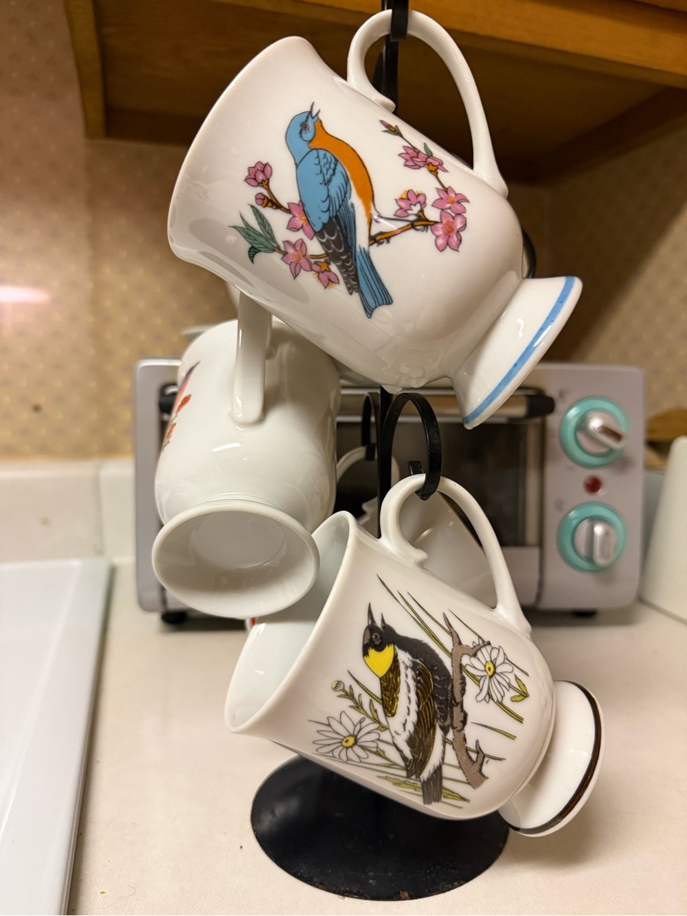 Fred Robert’s Song Bird Illustration Ceramic Mug  8oz set of 5
